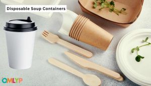 Read more about the article Right Choose Of Disposable Soup Containers