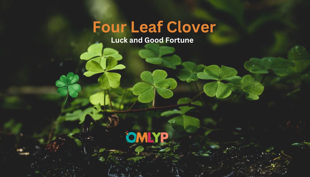 Four Leaf Clover - Meaning of The Four Leaf Clover