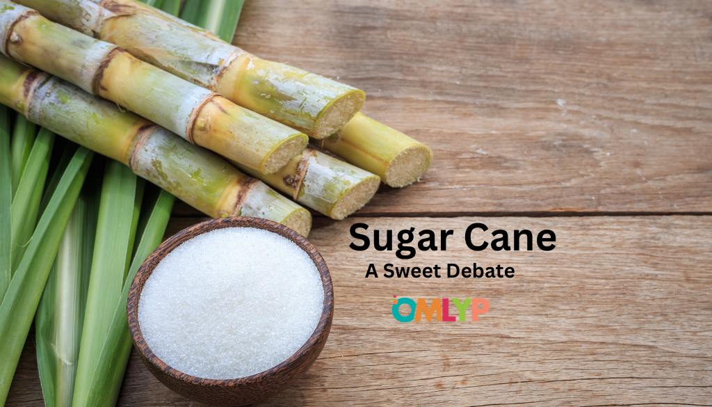 Sugar Cane Fruit or Vegetable? -A Sweet Debate